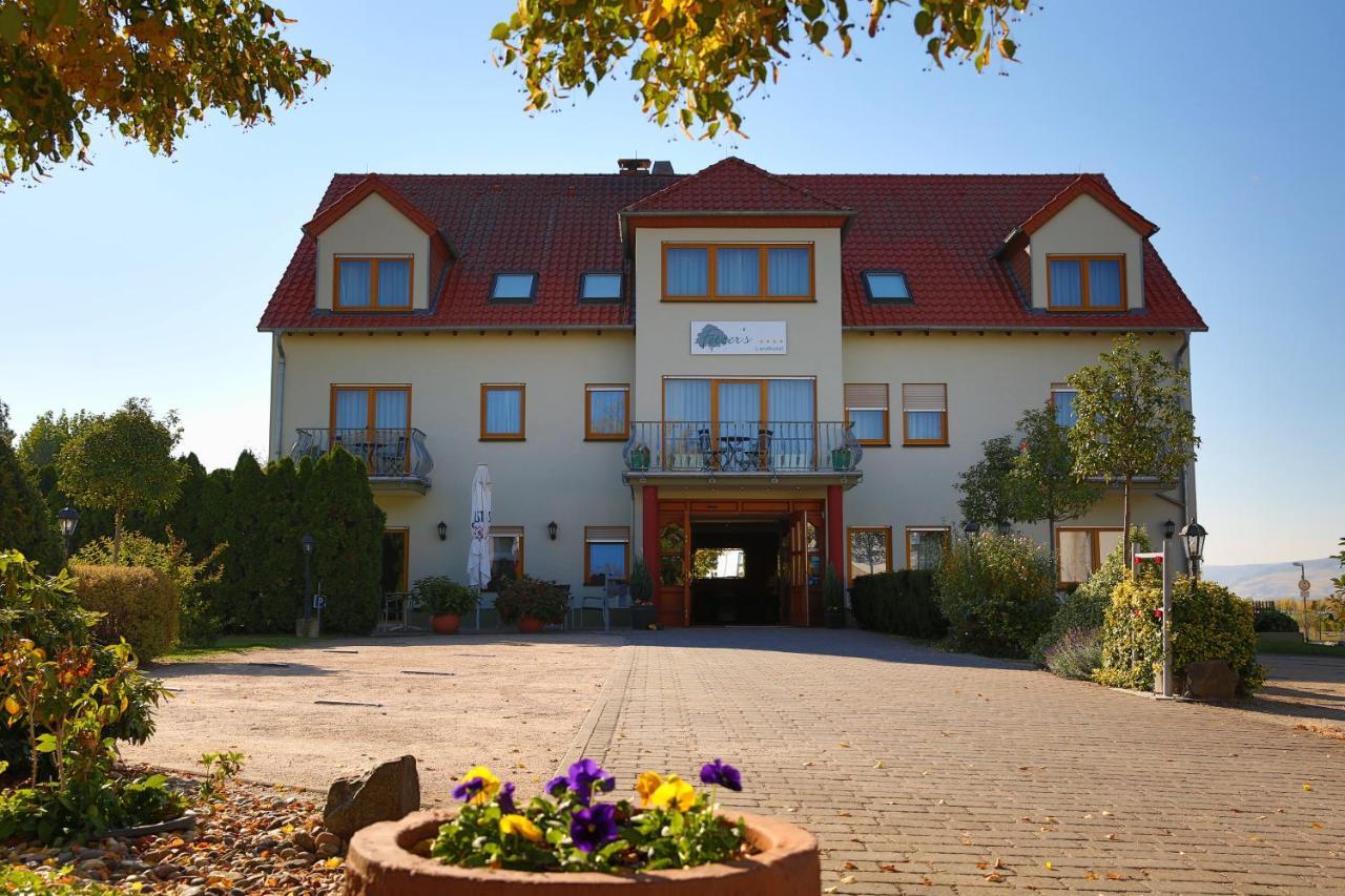 Fetzers Landhotel Ingelheim am Rhein Exteriér fotografie