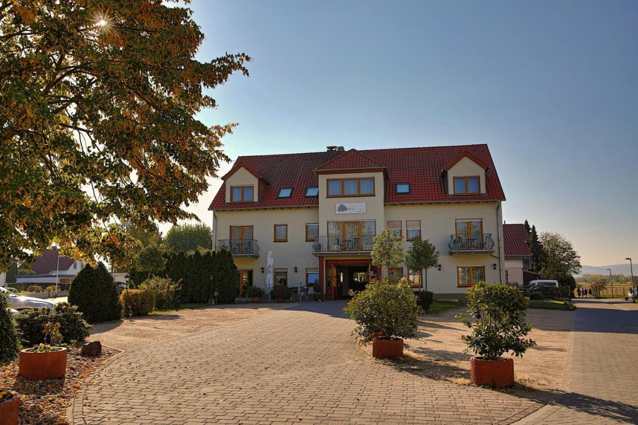 Fetzers Landhotel Ingelheim am Rhein Exteriér fotografie